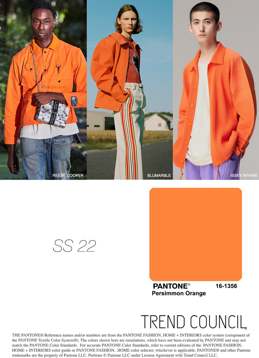 Updating 2022 Color Trend: Age of Outstanding