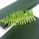 Army & School Uniform Fabric 4